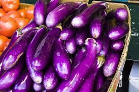 Heirloom Organic Early Long Purple Eggplant seeds package, GrowTime Garden Supply