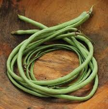 Heirloom Organic Yard Long Asparagus / Green Pod Red Seed Asparagus Bean Seeds, additional product view 2