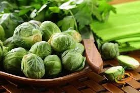 Heirloom Organic Catskill Brussels Sprouts seeds package, GrowTime Garden Supply