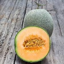 Heirloom Organic Edisto Cantaloupe seeds package, GrowTime Garden Supply