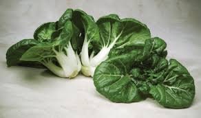 Load image into Gallery viewer, Heirloom Organic Pak Choy Toy Choy (Bok Choi/Pak Choi) Seeds
