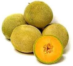 Heirloom Organic Sierra Gold Cantaloupe Seeds, additional product view 2
