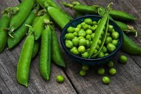 Heirloom Organic Lincoln Homesteader Pea seeds package, GrowTime Garden Supply