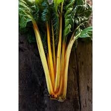 Load image into Gallery viewer, Heirloom Organic Golden Sunrise Swiss Chard Seeds
