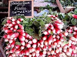 Heirloom Organic French Dressing Radish seeds package, GrowTime Garden Supply