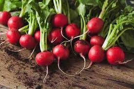 Load image into Gallery viewer, Heirloom Organic Cherry Belle Radish Seeds
