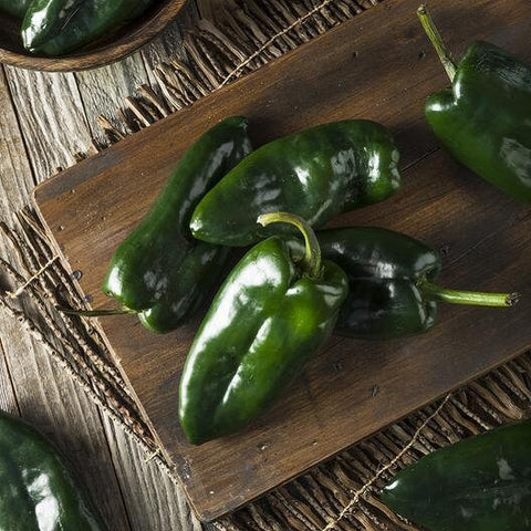Heirloom Organic Ancho 101 Hot Pepper Seeds, additional product view 2