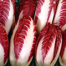 Load image into Gallery viewer, Heirloom Organic Early Treviso Radicchio Seeds
