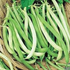 Load image into Gallery viewer, Organic Heirloom Top Crop Bush Bean Garden Seeds
