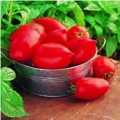 Heirloom Organic Big Mama Tomato seeds package, GrowTime Garden Supply