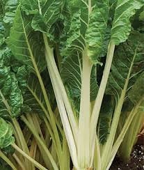 Load image into Gallery viewer, Organic Heirloom Large Ribbed Dark Green Swiss Chard Seeds
