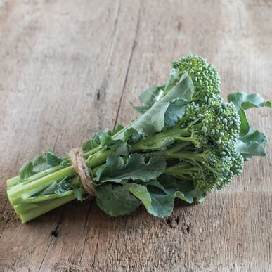 Heirloom Organic Broccoli De Cicco Seeds, additional product view 2