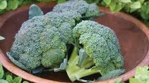 Heirloom Organic Broccoli De Cicco seeds package, GrowTime Garden Supply