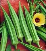 Organic Heirloom Emerald Okra Seeds, additional product view 2
