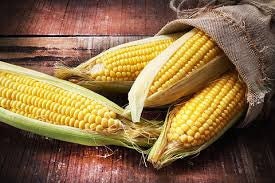 Organic Early Sunglow Sweet Corn seeds package, GrowTime Garden Supply