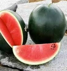 Organic Florida Giant Cannonball Watermelon seeds package, GrowTime Garden Supply