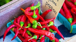 Heirloom Organic Cayenne Hot Pepper seeds package, GrowTime Garden Supply