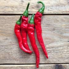 Heirloom Organic Cayenne Hot Pepper Seeds, additional product view 2