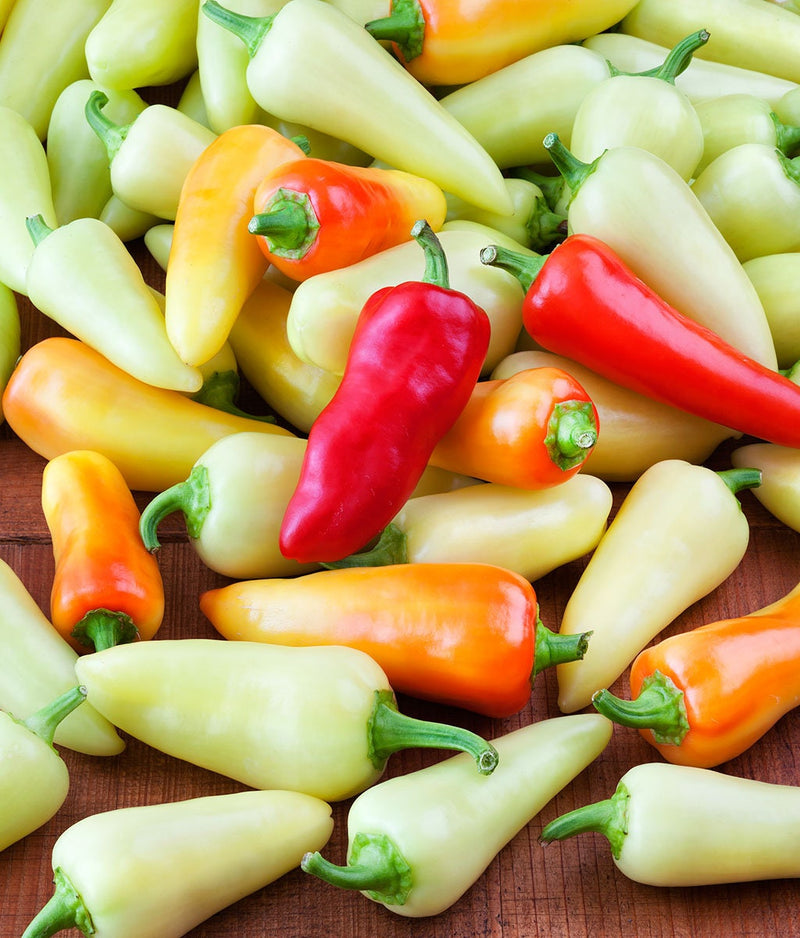 Load image into Gallery viewer, Heirloom Organic Santa Fe Hot Pepper Seeds (A.K.A. Guero Pepper, Yellow Guero Chili Pepper, Yellow Hot Chili Pepper)
