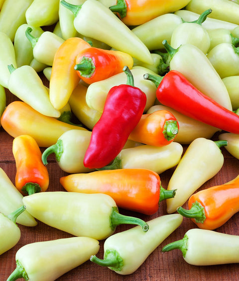 Heirloom Organic Santa Fe Hot Pepper Seeds (A.K.A. Guero Pepper, Yellow Guero Chili Pepper, Yellow Hot Chili Pepper), additional product view 2