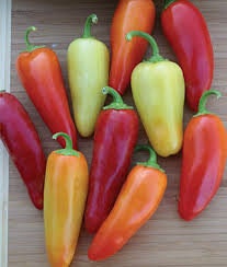 Load image into Gallery viewer, Heirloom Organic Santa Fe Hot Pepper Seeds (A.K.A. Guero Pepper, Yellow Guero Chili Pepper, Yellow Hot Chili Pepper)
