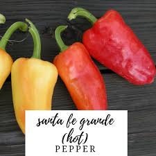 Heirloom Organic Santa Fe Hot Pepper seeds package, GrowTime Garden Supply