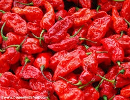 Load image into Gallery viewer, GHOST PEPPER Pepper Seeds (Aka Naga Viper Chili, Snake Pepper, Bhut Jolokia Hot Pepper)
