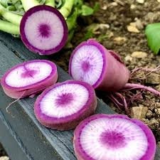 Load image into Gallery viewer, Rare Organic Heirloom BlueMoon Radish Seeds
