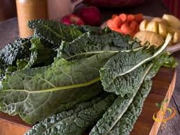 Heirloom Organic Dinosaur Kale Seeds (AKA Toscano Kale / Tuscan Kale / Italian Kale / Dinosaur Kale / Cavolo Nero / Black Leaf ), additional product view 2