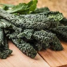 Load image into Gallery viewer, Heirloom Organic Dinosaur Kale Seeds (AKA Toscano Kale / Tuscan Kale / Italian Kale / Dinosaur Kale / Cavolo Nero / Black Leaf )
