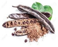 Rare Organic Carob Tree Seeds (Locust Bean Tree/ St. John's Bread Tree), additional product view 2
