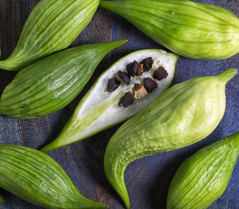 Rare Organic Heirloom Caigua Slipper Gourd seeds package, GrowTime Garden Supply