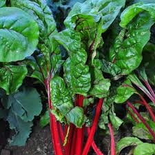 Load image into Gallery viewer, Organic Heirloom Ruby Red Swiss Chard Seeds

