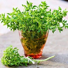 Load image into Gallery viewer, Organic Heirloom Spicy Globe Basil Seeds
