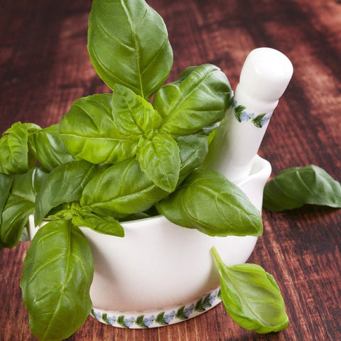 Organic Heirloom Genovese Basil seeds package, GrowTime Garden Supply