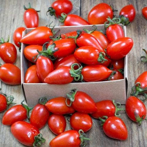 Heirloom Organic San Marzano Tomato seeds package, GrowTime Garden Supply