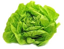 Heirloom Organic Buttercrunch Lettuce seeds package, GrowTime Garden Supply