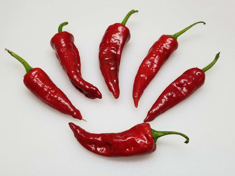 Organic Pueblo Hot Pepper Seeds, additional product view 2