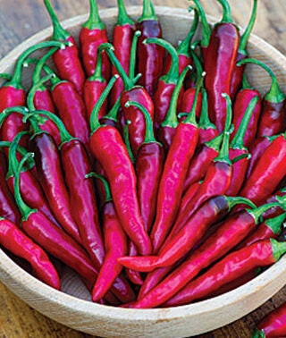 Organic Heirloom Cayenne Long Slim Pepper Seeds, additional product view 2