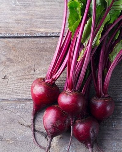 Organic Heirloom Tall Top Early Wonder Beet Seeds, additional product view 2
