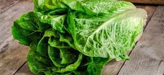 Organic Heirloom Little Caesar Lettuce seeds package, GrowTime Garden Supply