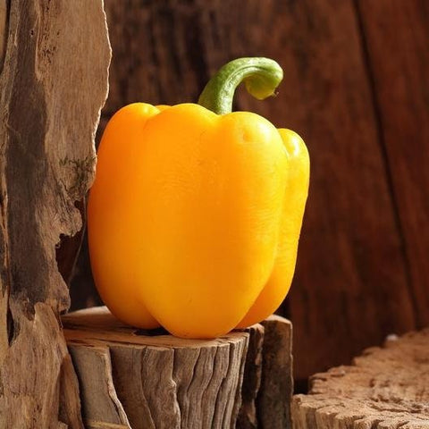 Organic Heirloom Calwonder Bell Pepper Seeds, additional product view 2
