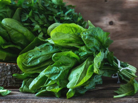 Organic Heirloom Palco Spinach seeds package, GrowTime Garden Supply