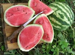 Load image into Gallery viewer, Organic Heirloom Crimson Sweet Watermelon Seeds
