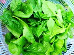 Organic Heirloom Bloomsdale Long Standing Spinach seeds package, GrowTime Garden Supply