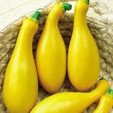 Load image into Gallery viewer, Organic Heirloom Early Summer Crookneck Squash Seeds
