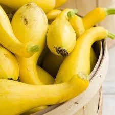Organic Heirloom Early Summer Crookneck Squash seeds package, GrowTime Garden Supply