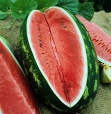 Heirloom Organic Congo Watermelon seeds package, GrowTime Garden Supply