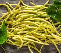 Heirloom Organic Cherokee Wax yellow bush bean seeds, additional product view 2