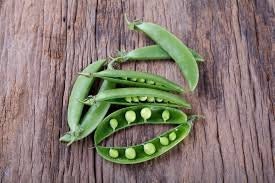Organic Heirloom Sugar Snap Pea seeds, additional product view 2